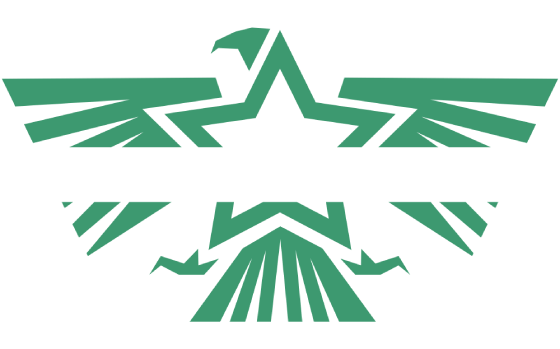 LAGUIFRANCE SÉCURITÉ